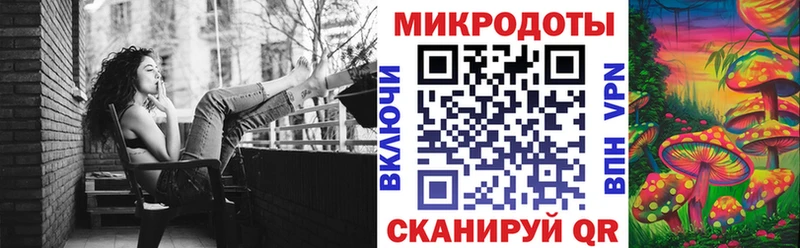 Псилоцибиновые грибы Psilocybe  Купить закладки  Судак 